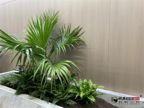 �y���k�����b���O(sh��)Ӌ(j��)��(sh��)���D|�N���O(sh��)Ӌ(j��)