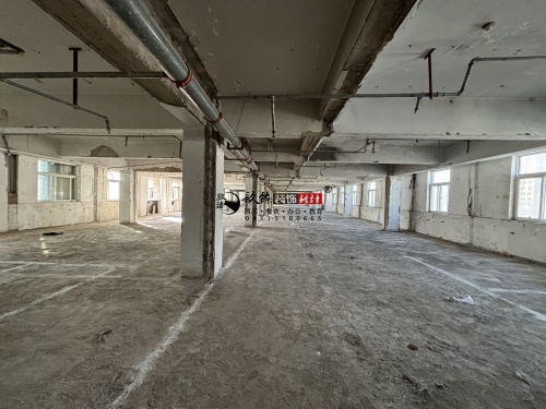 �y���k�����b���OӋ�Ŀ|�N���OӋ
